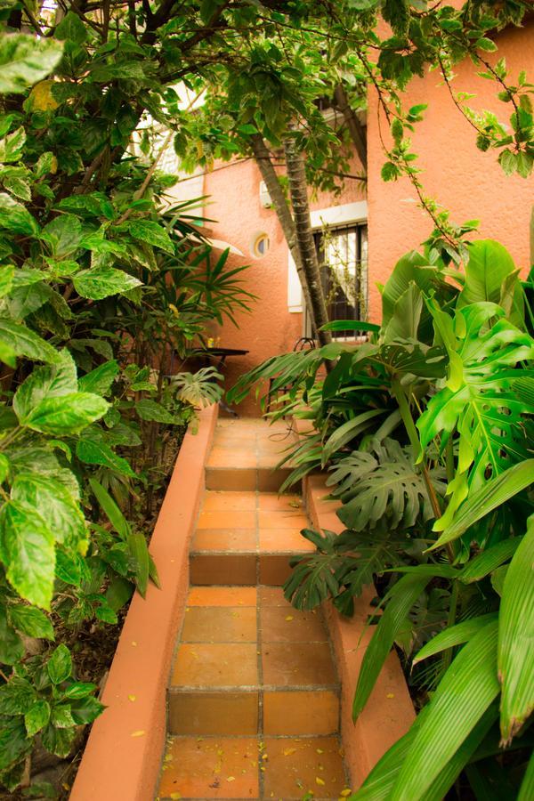 Raiz Hostel Medellín Esterno foto