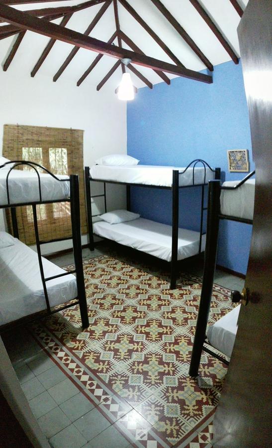 Raiz Hostel Medellín Esterno foto