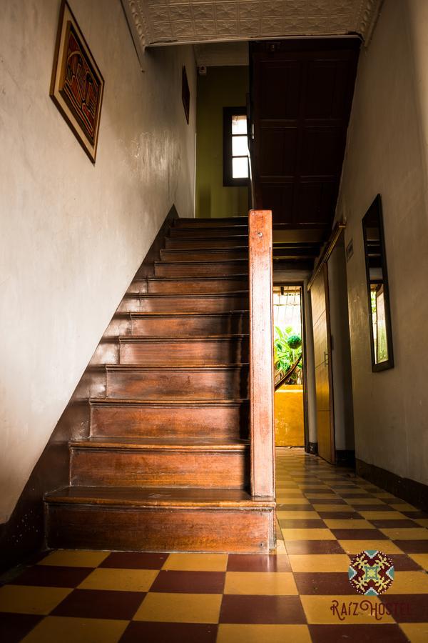 Raiz Hostel Medellín Esterno foto